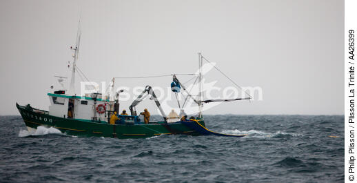 Pêche a la sardine pour la Quiberonaise - © Philip Plisson / Plisson La Trinité / AA26399 - Nos reportages photos - Type de pêche