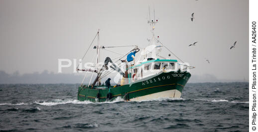 Sardine fishing boat . - © Philip Plisson / Plisson La Trinité / AA26400 - Photo Galleries - Fishing with a seine 