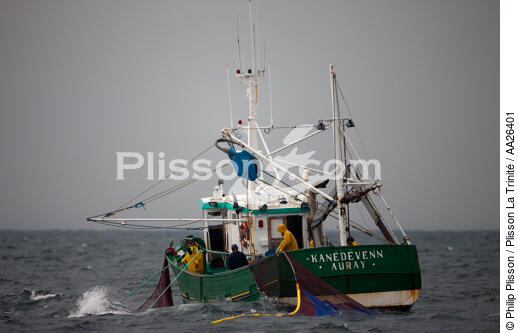 Pêche a la sardine pour la Quiberonaise - © Philip Plisson / Plisson La Trinité / AA26401 - Nos reportages photos - La pêche à la sardine
