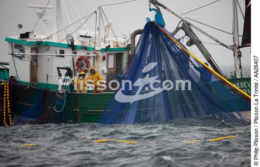 Pêche a la sardine pour la Quiberonaise - © Philip Plisson / Plisson La Trinité / AA26407 - Nos reportages photos - Pêcheur
