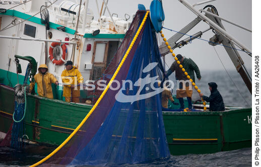 Pêche a la sardine pour la Quiberonaise - © Philip Plisson / Plisson La Trinité / AA26408 - Nos reportages photos - Pêche à la senne