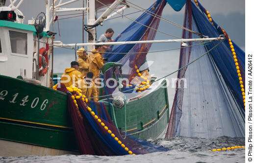 Pêche a la sardine pour la Quiberonaise - © Philip Plisson / Plisson La Trinité / AA26412 - Nos reportages photos - La pêche à la sardine