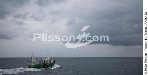 Pêche a la sardine pour la Quiberonaise - © Philip Plisson / Plisson La Trinité / AA26413 - Nos reportages photos - Pêche à la senne