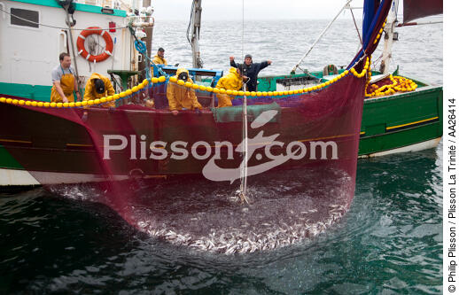 Sardine fishing boat . - © Philip Plisson / Plisson La Trinité / AA26414 - Photo Galleries - Sardine fishing