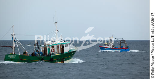 Pêche a la sardine pour la Quiberonaise - © Philip Plisson / Plisson La Trinité / AA26417 - Nos reportages photos - Type de pêche