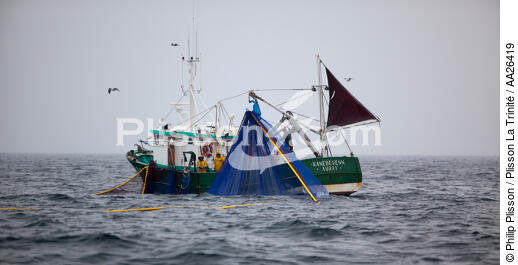 Pêche a la sardine pour la Quiberonaise - © Philip Plisson / Plisson La Trinité / AA26419 - Nos reportages photos - Bateau de pêche