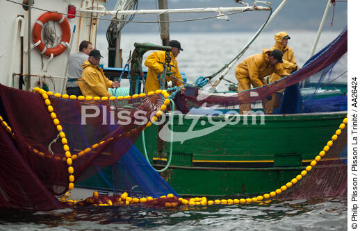 Pêche a la sardine pour la Quiberonaise - © Philip Plisson / Plisson La Trinité / AA26424 - Nos reportages photos - Pêcheur