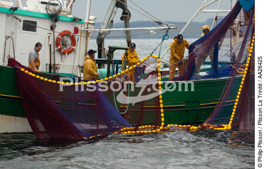 Pêche a la sardine pour la Quiberonaise - © Philip Plisson / Plisson La Trinité / AA26425 - Nos reportages photos - Type de pêche