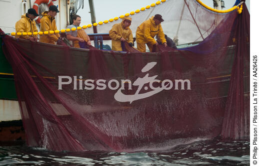 Sardine fishing boat . - © Philip Plisson / Plisson La Trinité / AA26426 - Photo Galleries - Sardine fishing