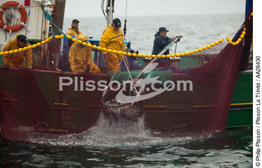Sardine fishing boat . - © Philip Plisson / Plisson La Trinité / AA26430 - Photo Galleries - Sardine fishing