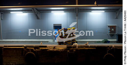 The fishing port of Lorient Kéroman. - © Philip Plisson / Plisson La Trinité / AA26460 - Photo Galleries - Fish dock