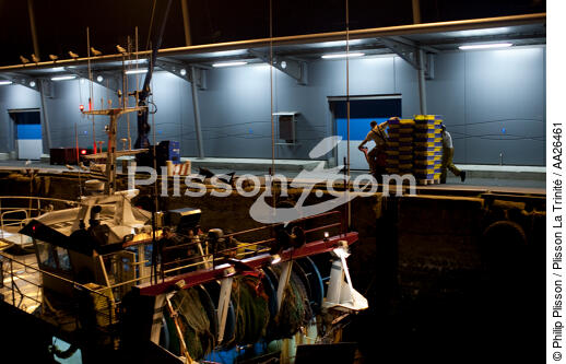 Le port de pêche de Kéroman à Lorient. - © Philip Plisson / Plisson La Trinité / AA26461 - Nos reportages photos - Moment de la journée