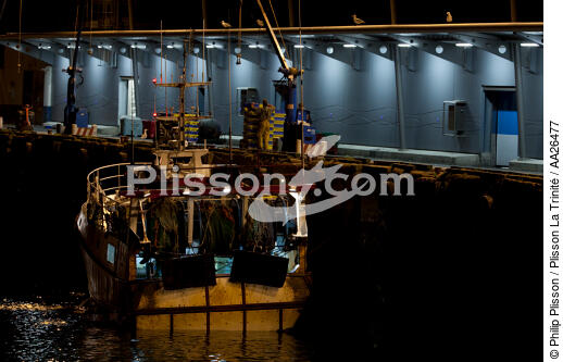 Le port de pêche de Kéroman à Lorient. - © Philip Plisson / Plisson La Trinité / AA26477 - Nos reportages photos - Moment de la journée
