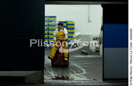 The fishing port of Lorient Kéroman. - © Philip Plisson / Plisson La Trinité / AA26483 - Photo Galleries - Fish dock