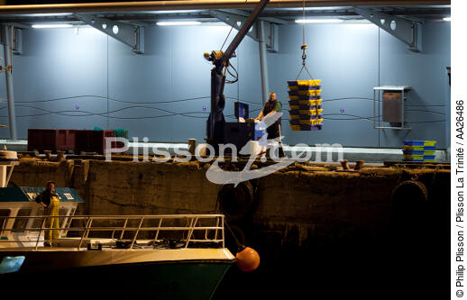 The fishing port of Lorient Kéroman. - © Philip Plisson / Plisson La Trinité / AA26486 - Photo Galleries - Fish dock