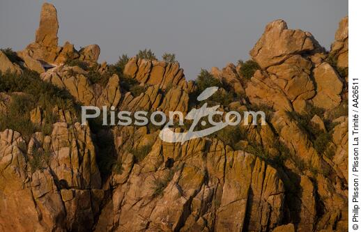 Houat island - © Philip Plisson / Plisson La Trinité / AA26511 - Photo Galleries - Rock