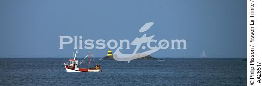 Houat island - © Philip Plisson / Plisson La Trinité / AA26517 - Photo Galleries - Buoys and beacons