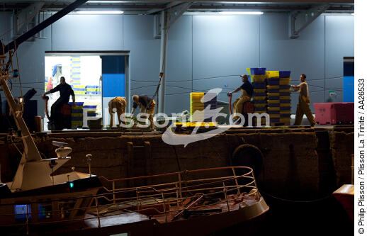 Le port de pêche de Kéroman à Lorient. - © Philip Plisson / Plisson La Trinité / AA26533 - Nos reportages photos - Criée