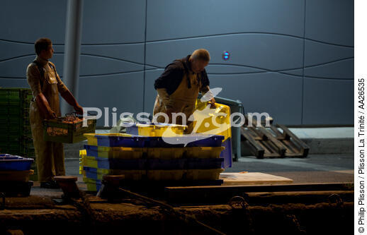 Le port de pêche de Kéroman à Lorient. - © Philip Plisson / Plisson La Trinité / AA26535 - Nos reportages photos - Lorient