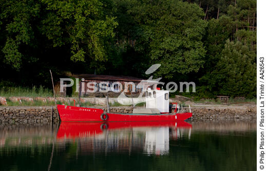 Boat on the river Crac'h - © Philip Plisson / Plisson La Trinité / AA26543 - Photo Galleries - Lighter used by oyster farmers