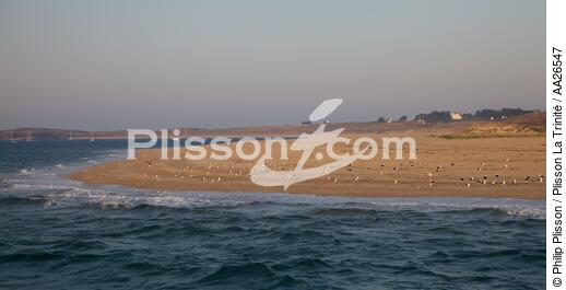 Houat island - © Philip Plisson / Plisson La Trinité / AA26547 - Photo Galleries - Morbihan