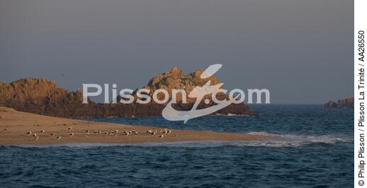 Houat island - © Philip Plisson / Plisson La Trinité / AA26550 - Photo Galleries - Island [56]
