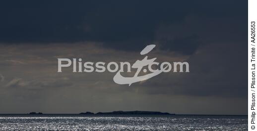 L'île au chevaux - © Philip Plisson / Plisson La Trinité / AA26553 - Nos reportages photos - De Quiberon à la Vilaine