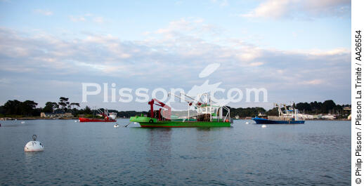 Boat on the river Crac'h - © Philip Plisson / Plisson La Trinité / AA26554 - Photo Galleries - Mooring