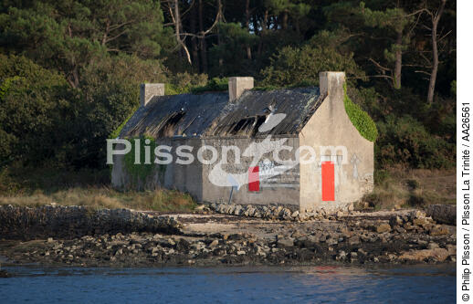 On the river Etel. - © Philip Plisson / Plisson La Trinité / AA26561 - Photo Galleries - Morbihan