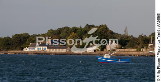 Sur la rivière d'Etel. - © Philip Plisson / Plisson La Trinité / AA26565 - Nos reportages photos - Morbihan