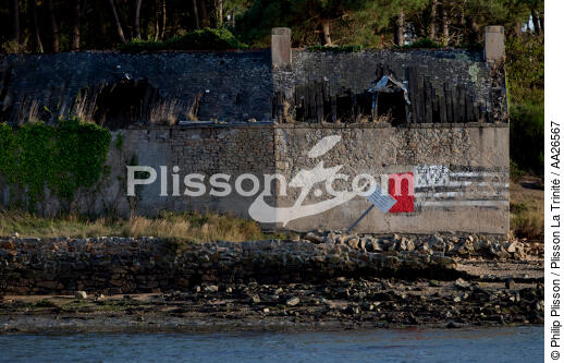 Sur la rivière d'Etel. - © Philip Plisson / Plisson La Trinité / AA26567 - Nos reportages photos - Morbihan