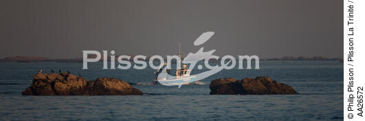 Fishing boat before Quiberon - © Philip Plisson / Plisson La Trinité / AA26572 - Photo Galleries - Morbihan