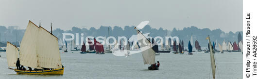Week of the Gulf. - © Philip Plisson / Plisson La Trinité / AA26592 - Photo Galleries - From Quiberon to the Vilaine river
