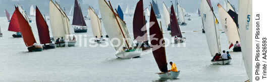 Week of the Gulf. - © Philip Plisson / Plisson La Trinité / AA26593 - Photo Galleries - From Quiberon to the Vilaine river