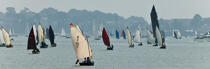 Week of the Gulf. © Philip Plisson / Plisson La Trinité / AA26594 - Photo Galleries - From Quiberon to the Vilaine river