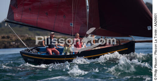 Week of the Gulf. - © Philip Plisson / Plisson La Trinité / AA26601 - Photo Galleries - From Quiberon to the Vilaine river