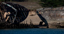 Wrecks of tuna fishing boat in Plouhinec © Philip Plisson / Plisson La Trinité / AA26604 - Photo Galleries - Plouhinec
