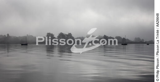 Brume sur le Golfe du Morbihan - © Philip Plisson / Plisson La Trinité / AA26648 - Nos reportages photos - De Quiberon à la Vilaine