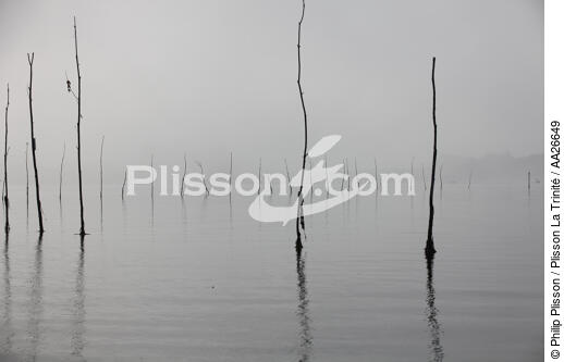 Fog on the Gulf of Morbihan - © Philip Plisson / Plisson La Trinité / AA26649 - Photo Galleries - Mooring
