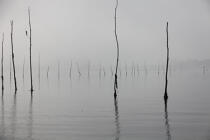 Fog on the Gulf of Morbihan © Philip Plisson / Plisson La Trinité / AA26649 - Photo Galleries - Mooring