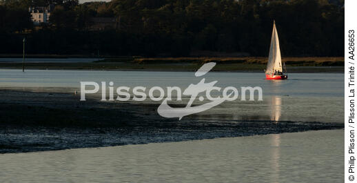 Sur la rivière d'Auray. - © Philip Plisson / Plisson La Trinité / AA26653 - Nos reportages photos - Morbihan