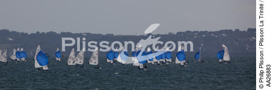 Laser regatta in the bay of Brest - © Philip Plisson / Plisson La Trinité / AA26883 - Photo Galleries - Town [29]
