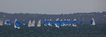 Laser regatta in the bay of Brest © Philip Plisson / Plisson La Trinité / AA26883 - Photo Galleries - Brest