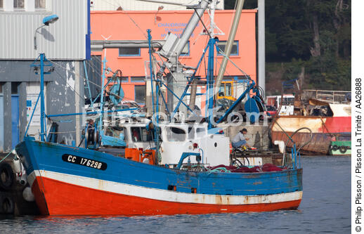 Dans le port de Douarnenez - © Philip Plisson / Plisson La Trinité / AA26888 - Nos reportages photos - De Brest à Loctudy