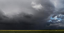 Coast Grain Jade © Philip Plisson / Plisson La Trinité / AA26914 - Photo Galleries - Stormy sky