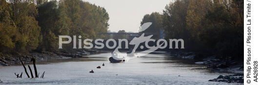La Loire - © Philip Plisson / Plisson La Trinité / AA26928 - Nos reportages photos - Canal de la Martinière