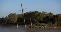 The Loire river © Philip Plisson / Plisson La Trinité / AA27008 - Photo Galleries - Shipwreck