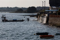 Dans le port du Croisic © Philip Plisson / Plisson La Trinité / AA27046 - Nos reportages photos - De Piriac à la pointe Saint-Gildas