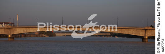 The Loire at Nantes - © Philip Plisson / Plisson La Trinité / AA27254 - Photo Galleries - Bridge