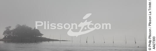 Golfe du Morbihan - © Philip Plisson / Plisson La Trinité / AA27300 - Nos reportages photos - Brume
